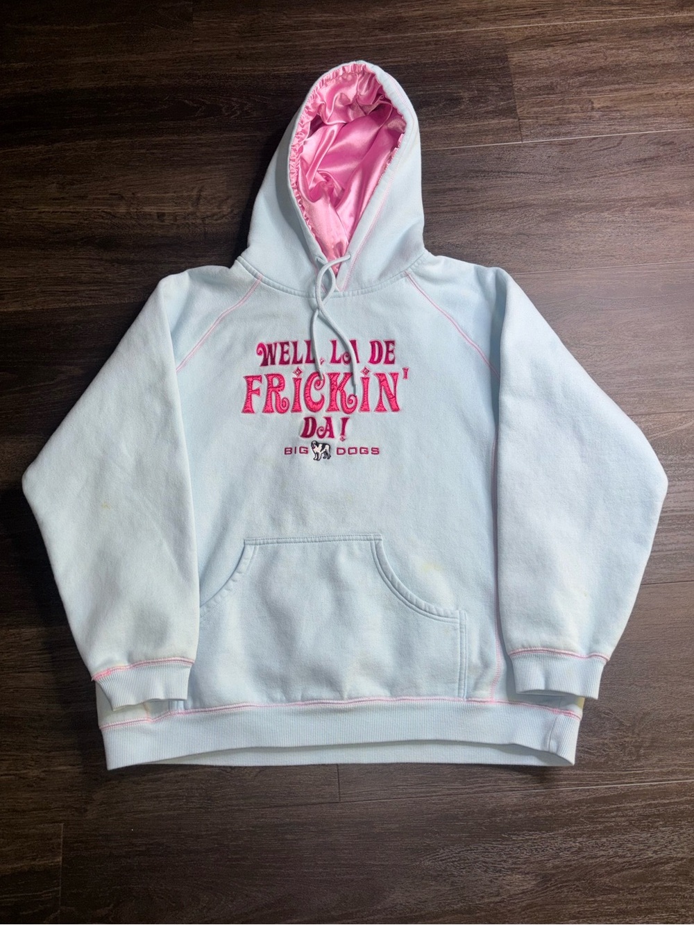 Y2K Big Dogs Hoodie Light Blue/Pink Graphic Well La De Frickin Da! Pockets- L